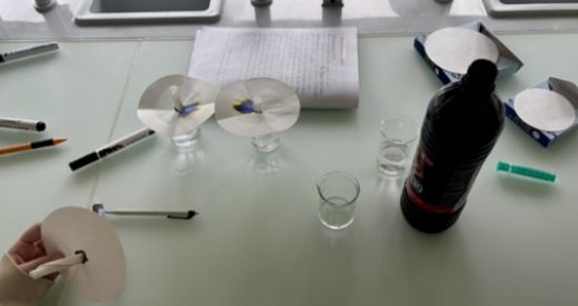 Besuchsnachmittage am OZ Grünau